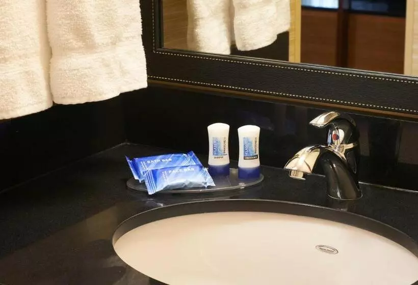 身障者適用スタンダードルーム, Fairfield Inn & Suites By Marriott Frankenmuth