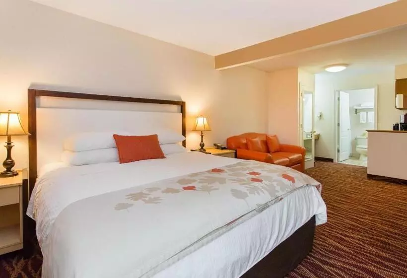 キングサイズベッドのデラックススイート, Hawthorn Suites By Wyndham Allentownfogelsville