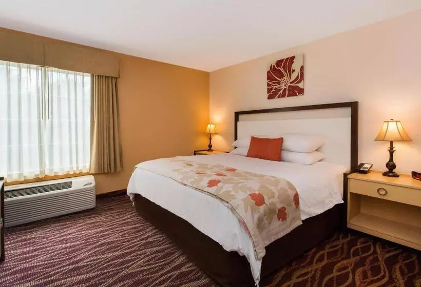 キングサイズベッドのデラックススイート, Hawthorn Suites By Wyndham Allentownfogelsville