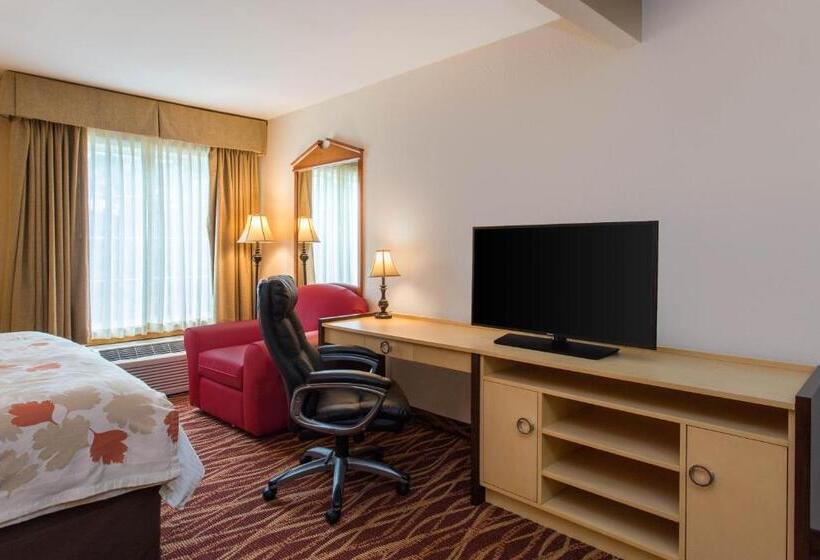 Люкс Deluxe Кровать Кинг, Hawthorn Suites By Wyndham Allentownfogelsville