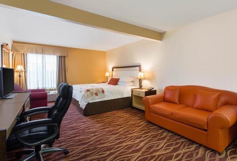 Люкс Deluxe Кровать Кинг, Hawthorn Suites By Wyndham Allentownfogelsville