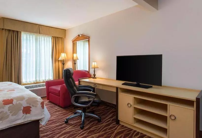 キングサイズベッドのスタンダードルーム, Hawthorn Suites By Wyndham Allentownfogelsville