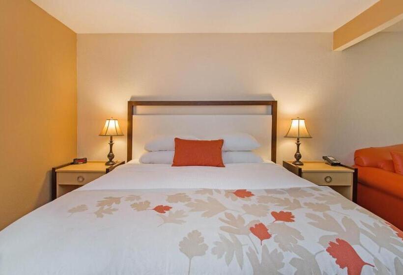 Стандартный Номер Кровать Кинг, Hawthorn Suites By Wyndham Allentownfogelsville