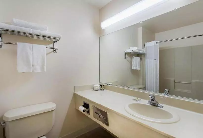 障害者適応デラックスルーム, Hawthorn Suites By Wyndham Allentownfogelsville