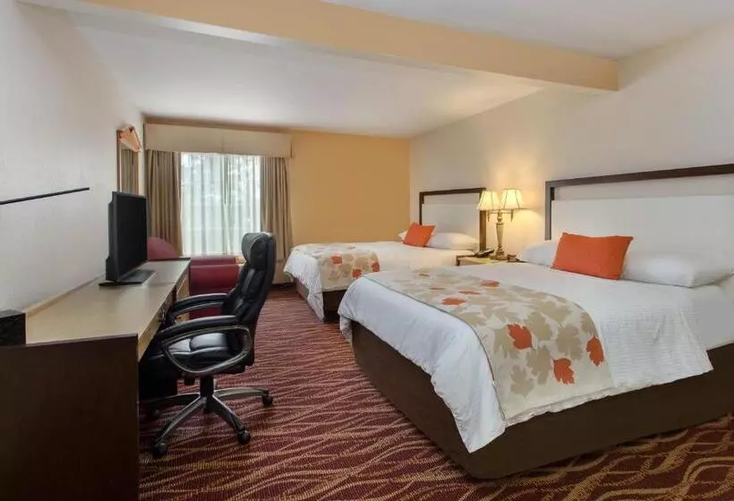 障害者適応デラックスルーム, Hawthorn Suites By Wyndham Allentownfogelsville
