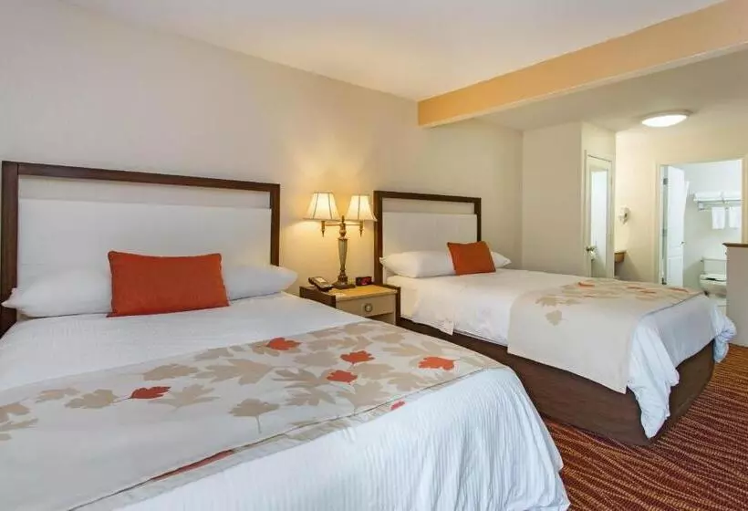 障害者適応デラックスルーム, Hawthorn Suites By Wyndham Allentownfogelsville