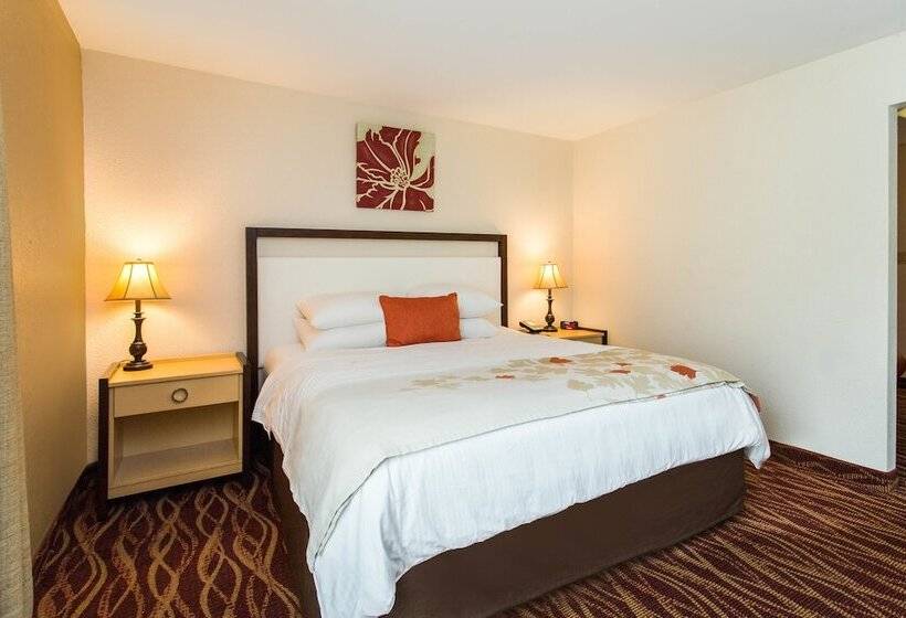 Люкс, Hawthorn Suites By Wyndham Allentownfogelsville