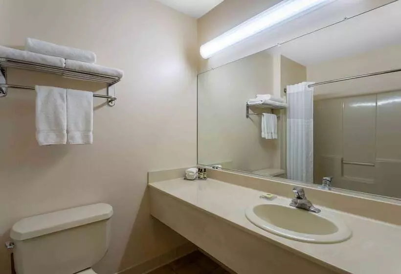 スイート, Hawthorn Suites By Wyndham Allentownfogelsville