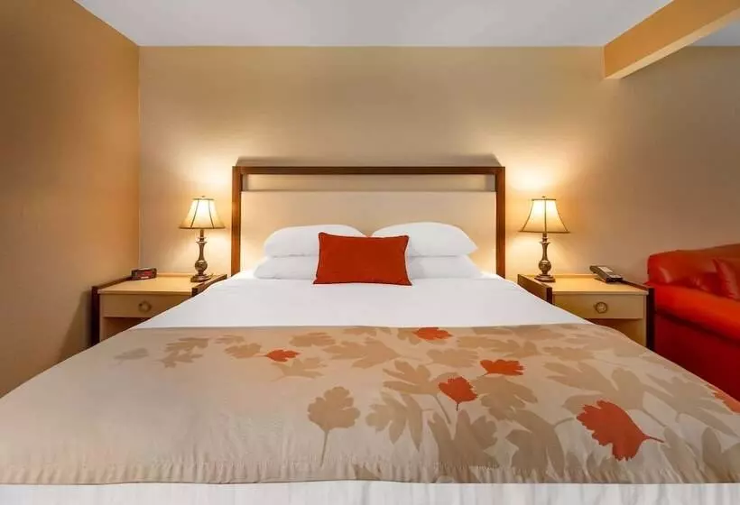 身障者適用スタンダードルーム, Hawthorn Suites By Wyndham Allentownfogelsville