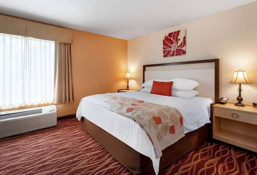 Номер Стандарт Адаптированный для Инвалидов, Hawthorn Suites By Wyndham Allentownfogelsville