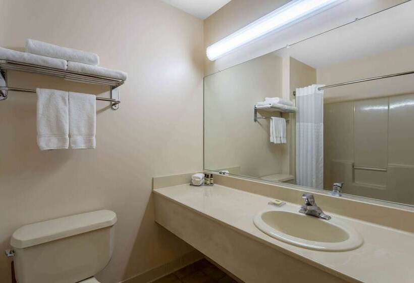 Номер Стандарт Адаптированный для Инвалидов, Hawthorn Suites By Wyndham Allentownfogelsville