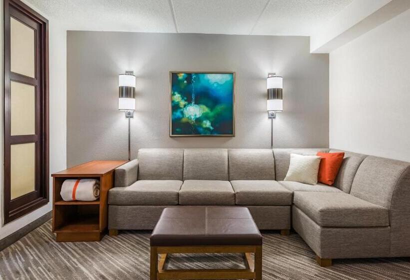 Номер Стандарт 2 Двуспальные Кровати, Hyatt Place Atlanta Duluth Johns Creek