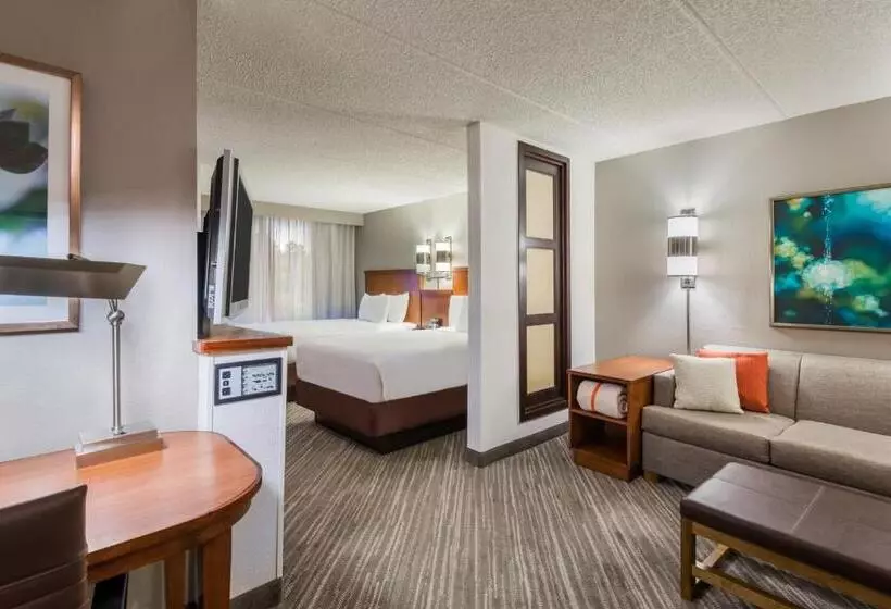 2ダブルベッドのスタンダードルーム, Hyatt Place Atlanta Duluth Johns Creek