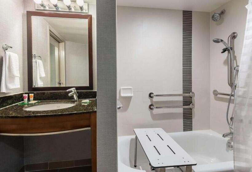 Номер Стандарт Кровать Кинг Адаптированный для Инвалидов, Hyatt Place Atlanta Duluth Johns Creek