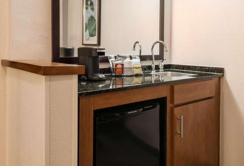 Номер Стандарт Кровать Кинг Адаптированный для Инвалидов, Hyatt Place Atlanta Duluth Johns Creek