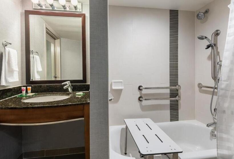 Номер Стандарт Кровать Кинг Адаптированный для Инвалидов, Hyatt Place Atlanta Duluth Johns Creek