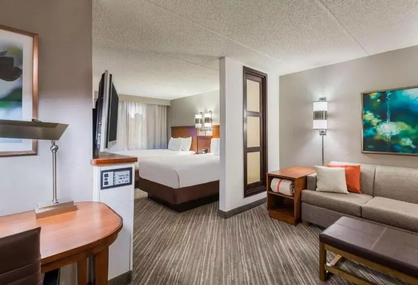 2ダブルベッドのスタンダードルーム, Hyatt Place Atlanta Duluth Johns Creek