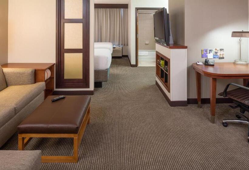 Номер Стандарт 2 Двуспальные Кровати, Hyatt Place Houston North