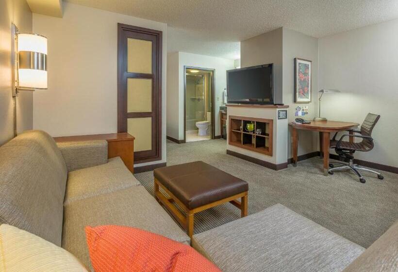 Номер Стандарт 2 Двуспальные Кровати, Hyatt Place Houston North