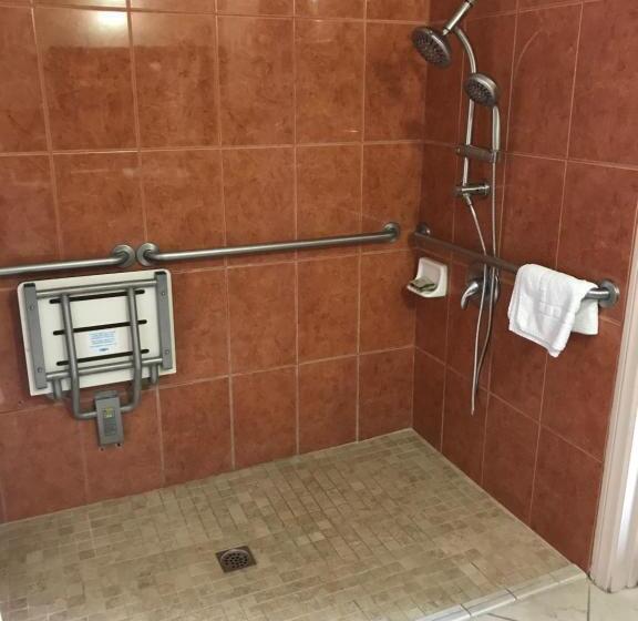 장애인을 위한 스탠다드 싱글 룸, Lambert Inn