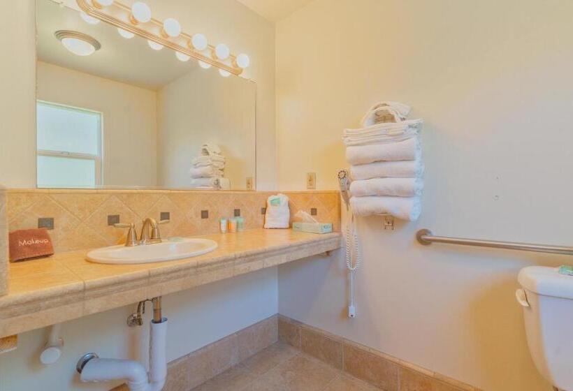 חדר סטנדרט מותאם לאדם עם מוגבלויות, Mariposa Lodge