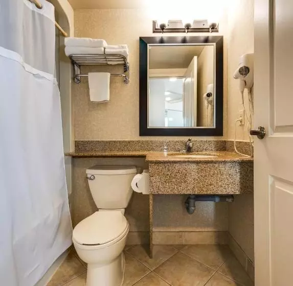 سوئیت با تخت بزرگ, Monte Carlo Inn & Suites Downtown Markham