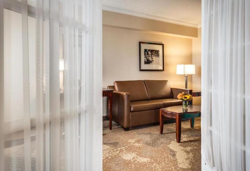 جناح ديلوكس سرير كينج, Monte Carlo Inn & Suites Downtown Markham