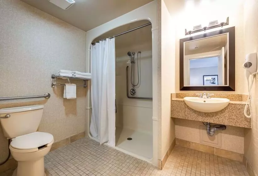 سوییت, Monte Carlo Inn & Suites Downtown Markham