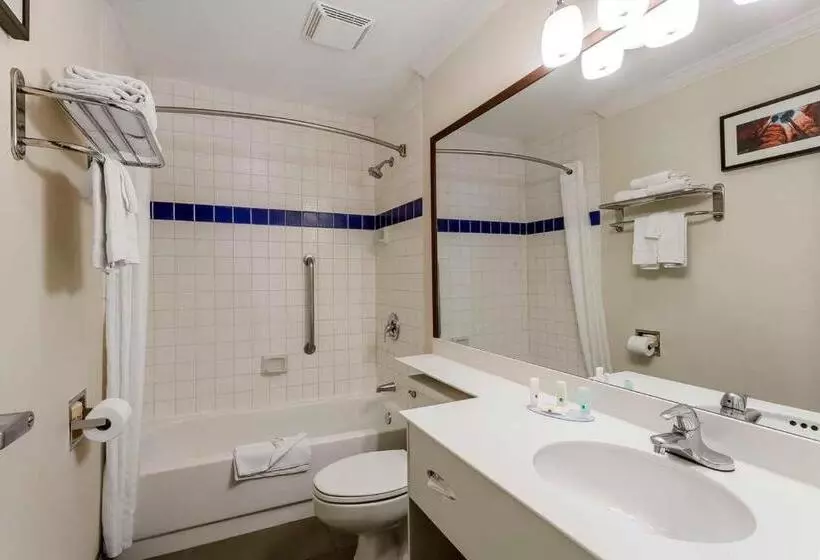 スイート, Comfort Inn Murray – Salt Lake City South