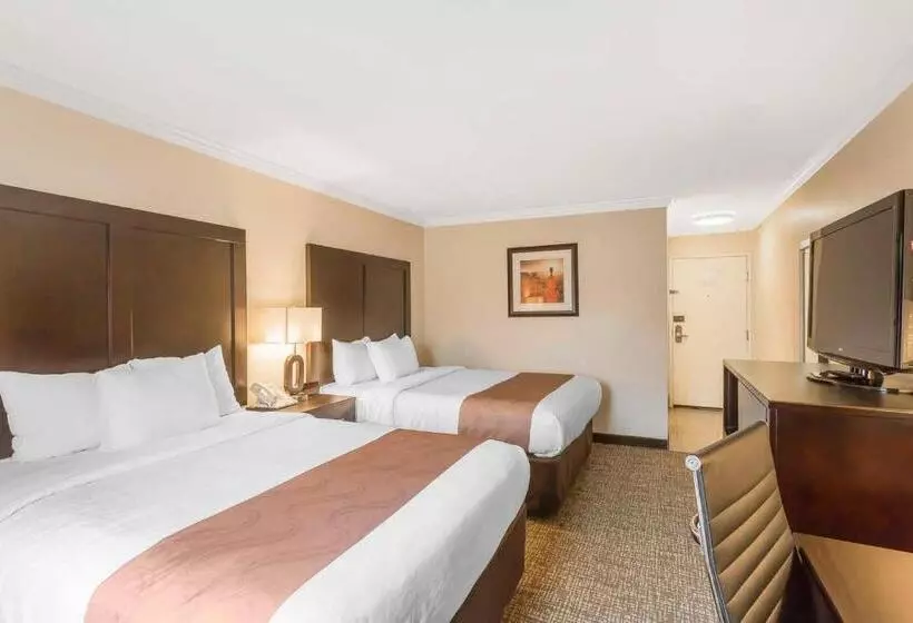 スイート, Comfort Inn Murray – Salt Lake City South