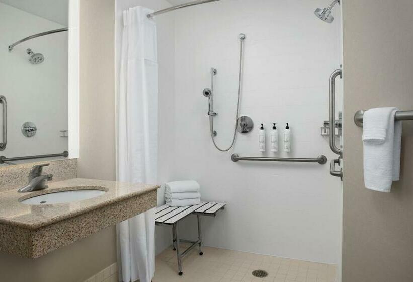 带大床的套房, Springhill Suites By Marriott Portland Vancouver