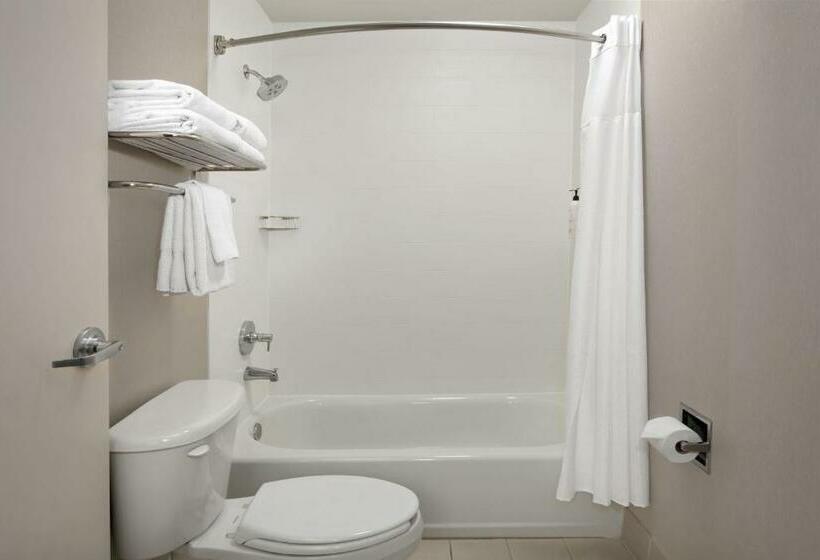 带大床的套房, Springhill Suites By Marriott Portland Vancouver