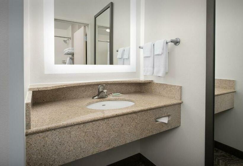 带大床的套房, Springhill Suites By Marriott Portland Vancouver