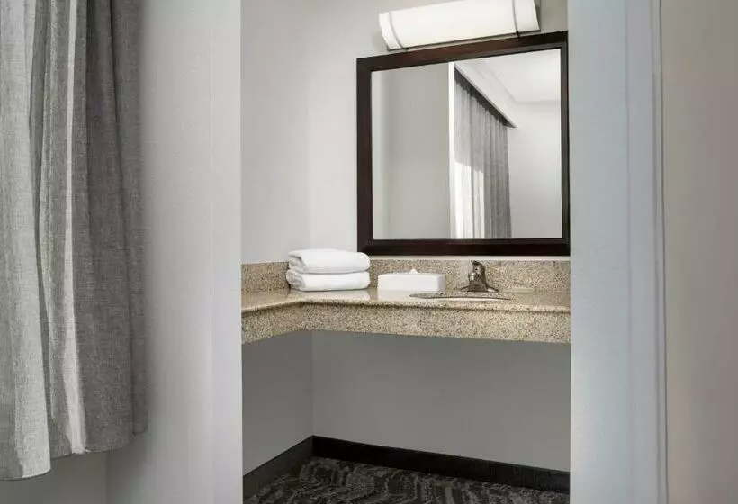 キングサイズベッドのスイートルーム, Springhill Suites By Marriott Portland Vancouver