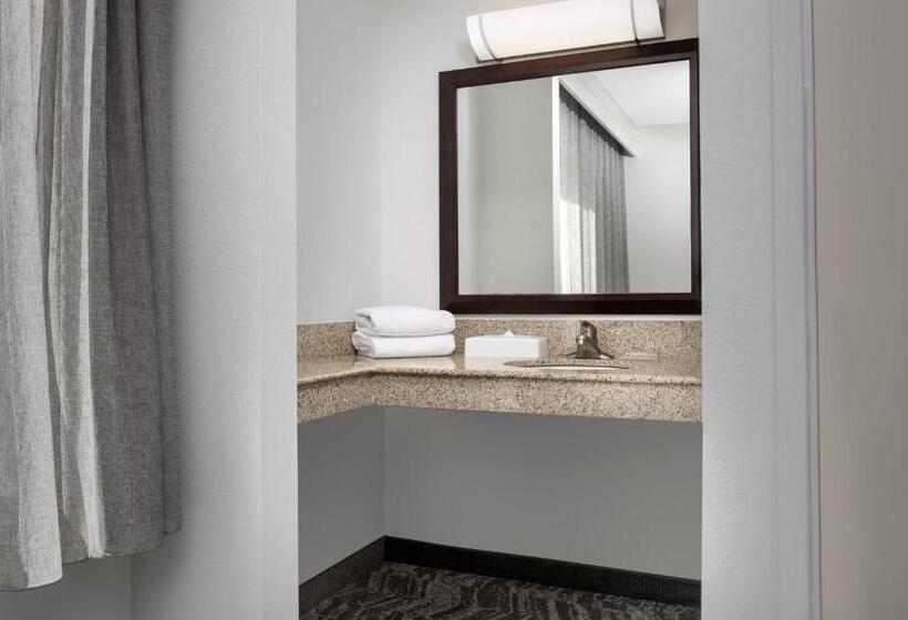 Люкс, Springhill Suites By Marriott Portland Vancouver