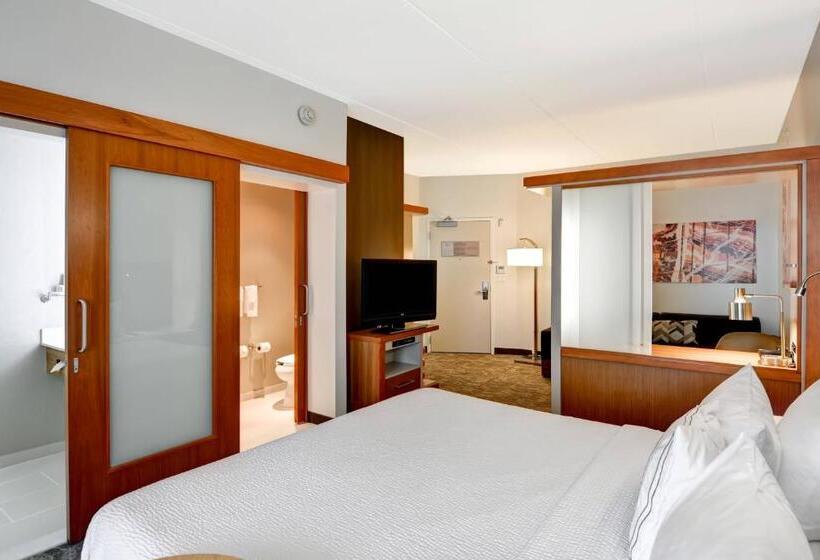 Студио Стандарт Кровать Кинг, Springhill Suites Cincinnati Airport South