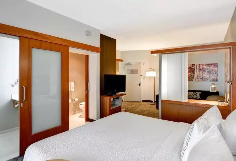 キングサイドベッドのスタンダードワンルーム, Springhill Suites Cincinnati Airport South