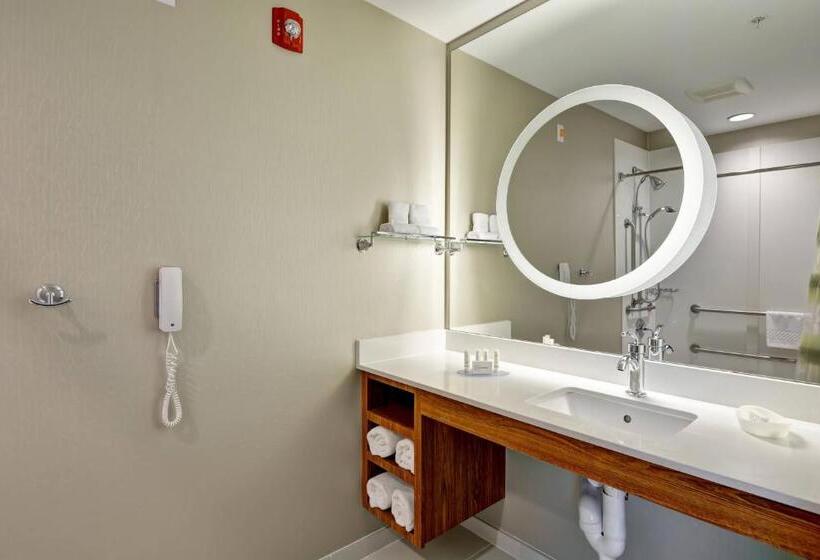 إستوديو قياسى سرير كينج, Springhill Suites Cincinnati Airport South