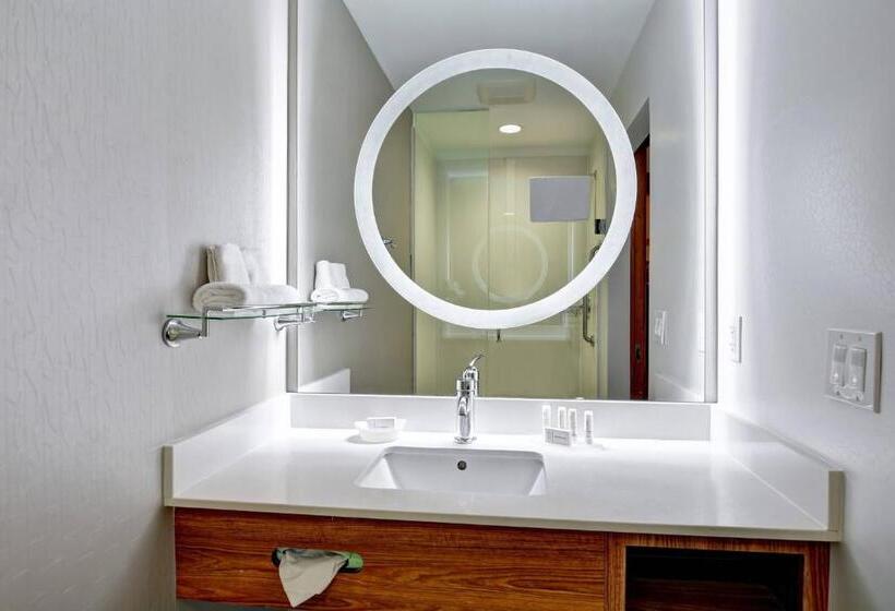 إستوديو قياسى سرير كينج, Springhill Suites Cincinnati Airport South