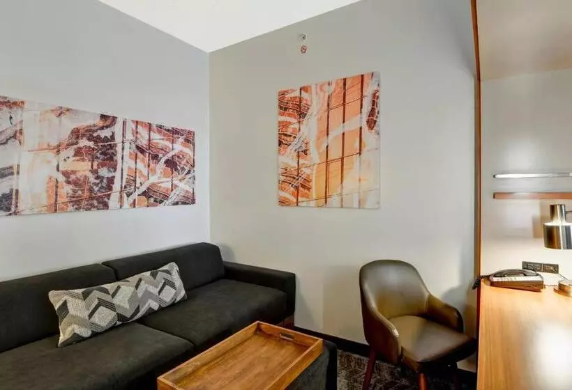 キングサイドベッドのスタンダードワンルーム, Springhill Suites Cincinnati Airport South