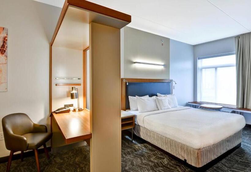 إستوديو قياسى سرير كينج, Springhill Suites Cincinnati Airport South