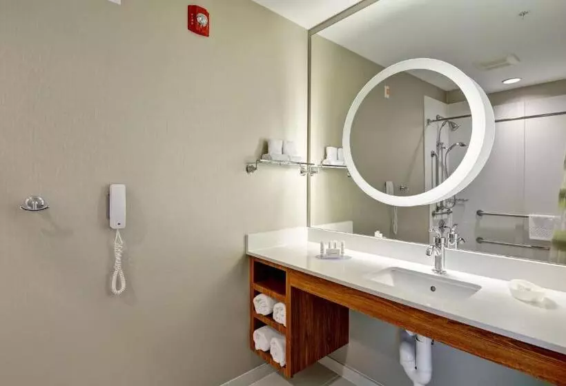 スタンダードスタジオ, Springhill Suites Cincinnati Airport South
