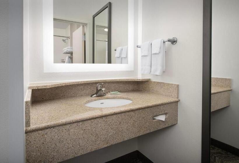 套房, Springhill Suites By Marriott Portland Vancouver