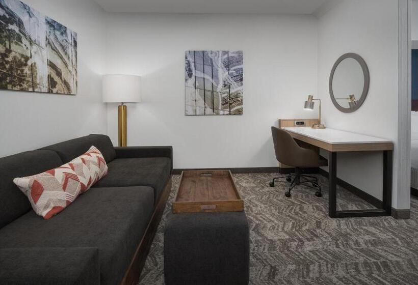 套房, Springhill Suites By Marriott Portland Vancouver