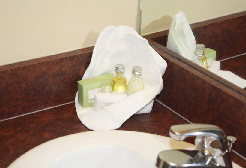 اتاق استاندارد با تخت دوبل, University Of Alberta   Guest Accommodation