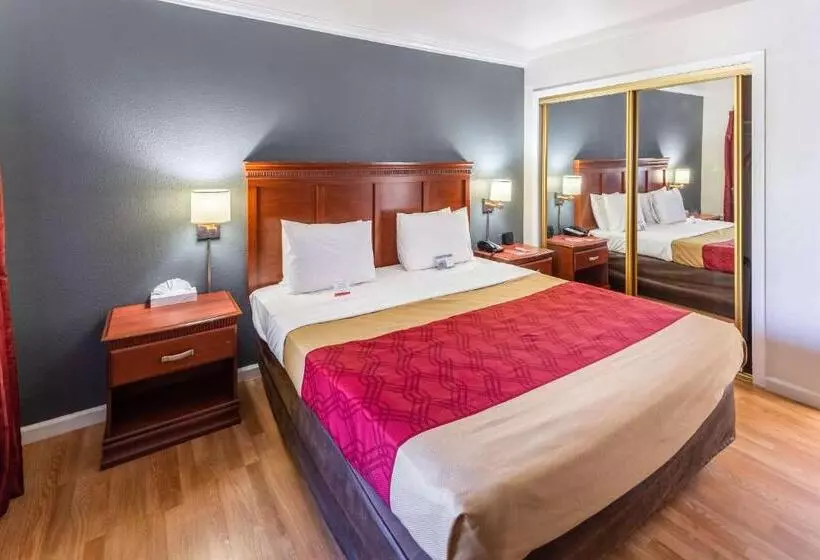 キングサイズベッドのスタンダードルーム, Econo Lodge Inn & Suites Heavenly Village Area