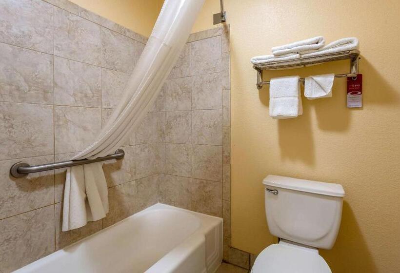 غرفة قياسية سرير كينج, Econo Lodge Inn & Suites