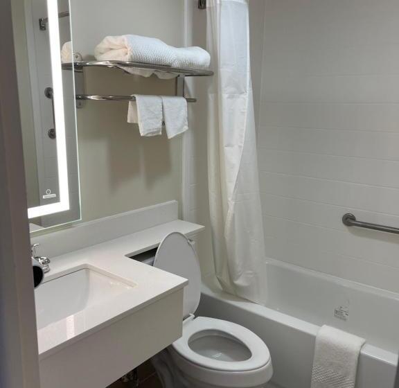 غرفه قياسيه سريرين مزدوجين, Quality Inn & Suites New Hartford   Utica