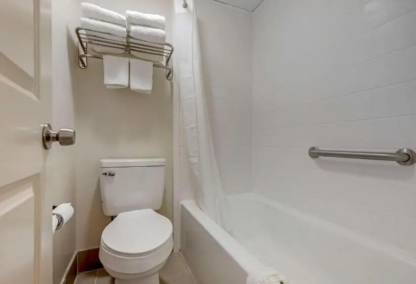 キングサイズベッドのスタンダードルーム, Quality Inn & Suites New Hartford   Utica
