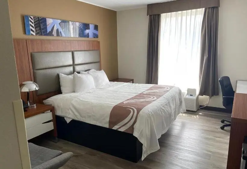 キングサイズベッドのスタンダードルーム, Quality Inn & Suites New Hartford   Utica